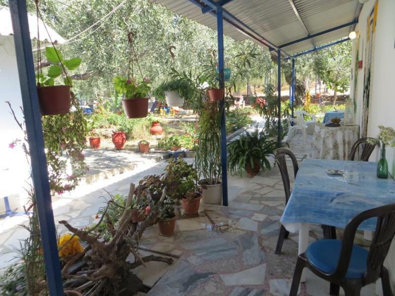 Sea View Bungalows Skála Kallirákhis Kültér fotó