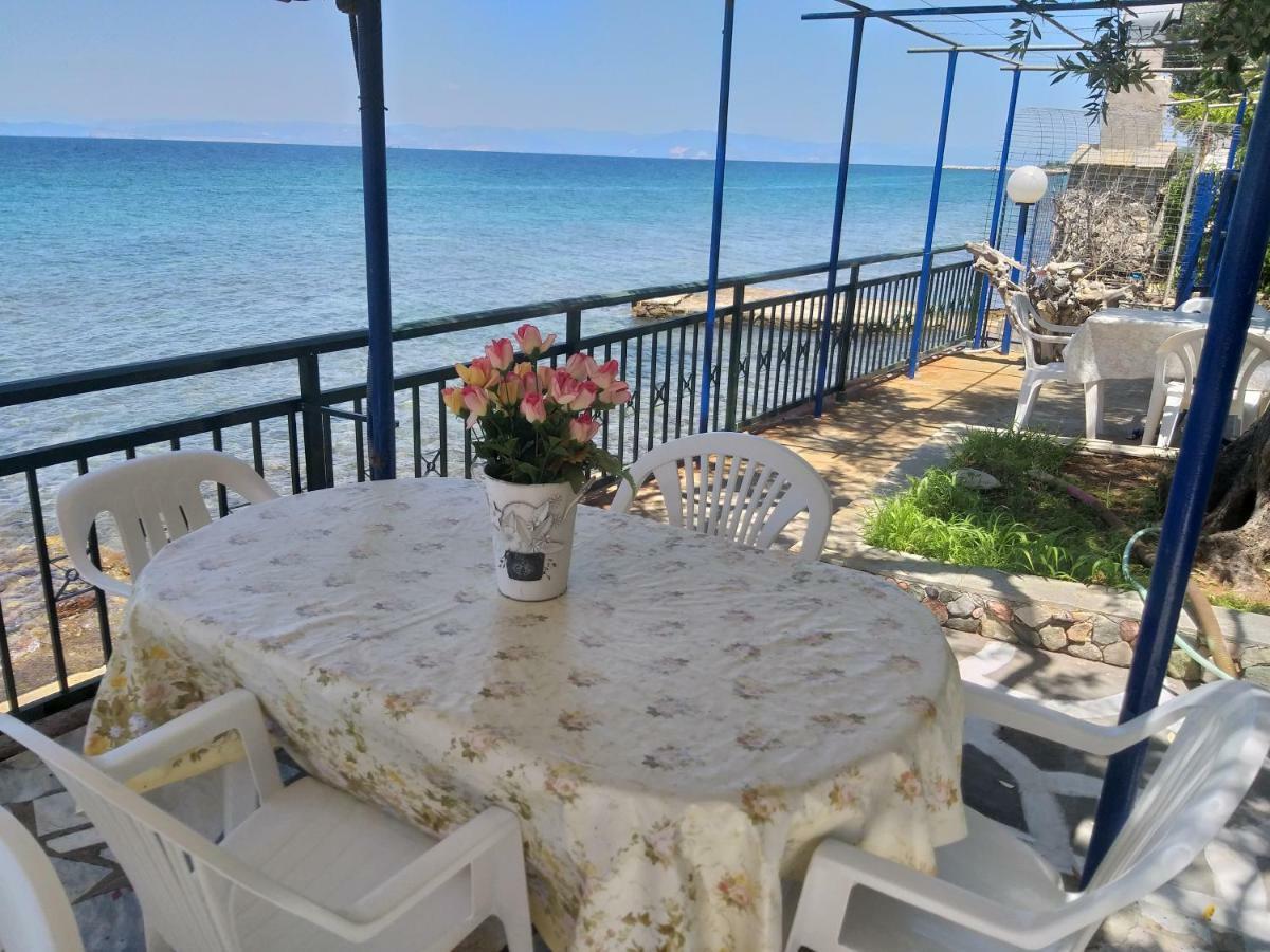 Sea View Bungalows Skála Kallirákhis Kültér fotó